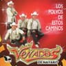 Los Polvos De Estos Caminos