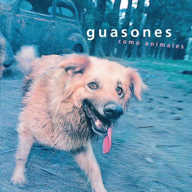 Album cover art for Como Animales