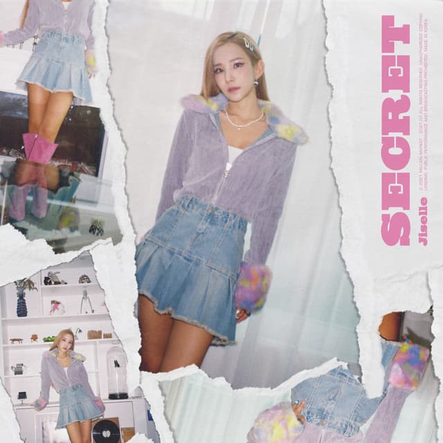 Album cover art for Secret