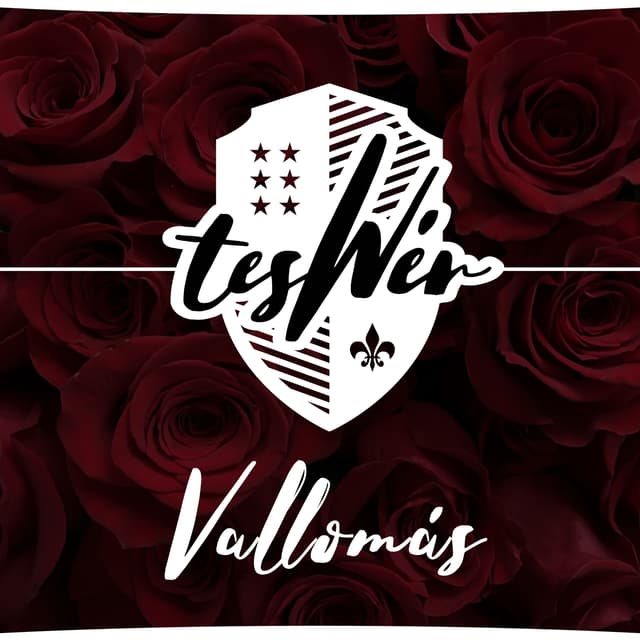 Album cover art for Vallomás