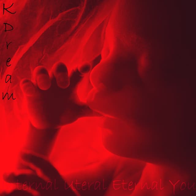 Album cover art for Internal Uteral Eternal You