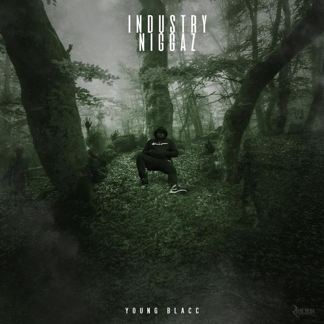 Album cover art for Industry Niggaz