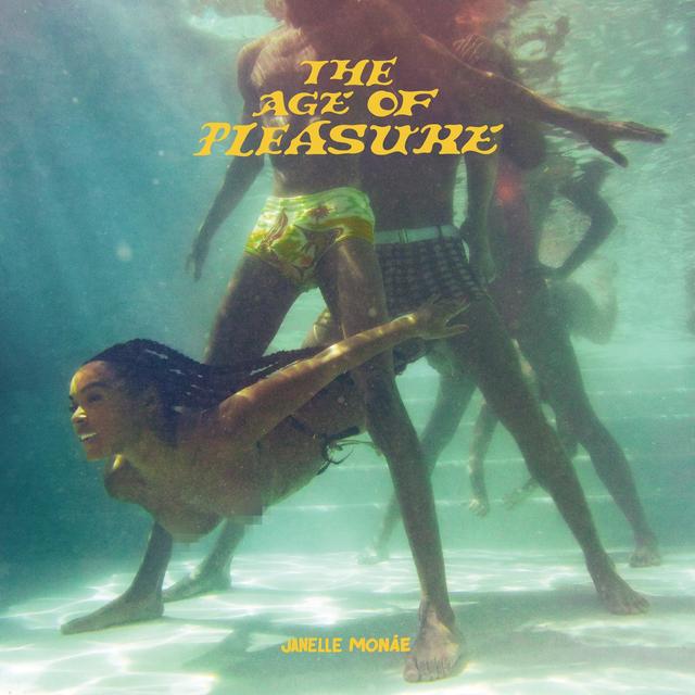Album cover art for The Age of Pleasure