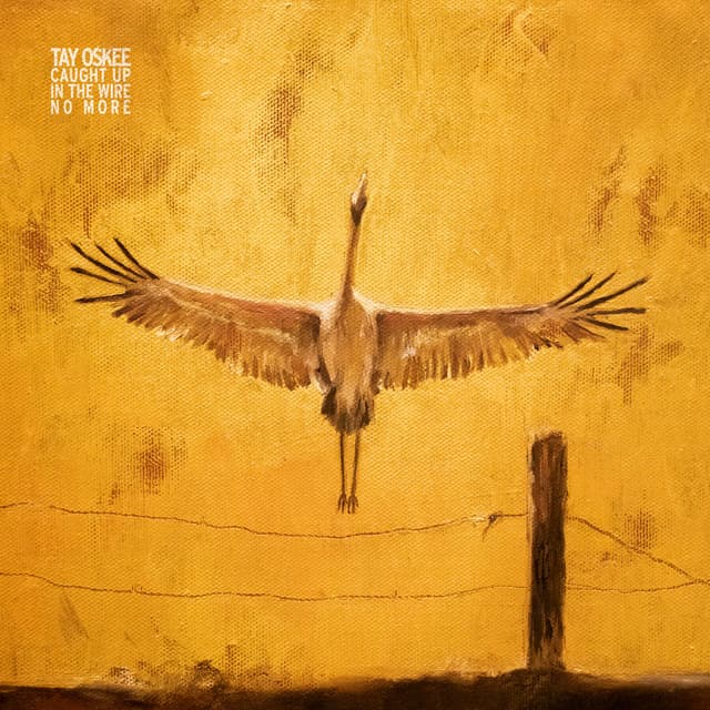 Album cover art for Caught Up In The Wire, No More