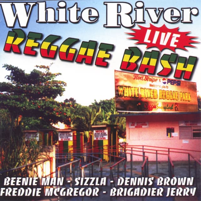 Album cover art for White river reggae bash (live)