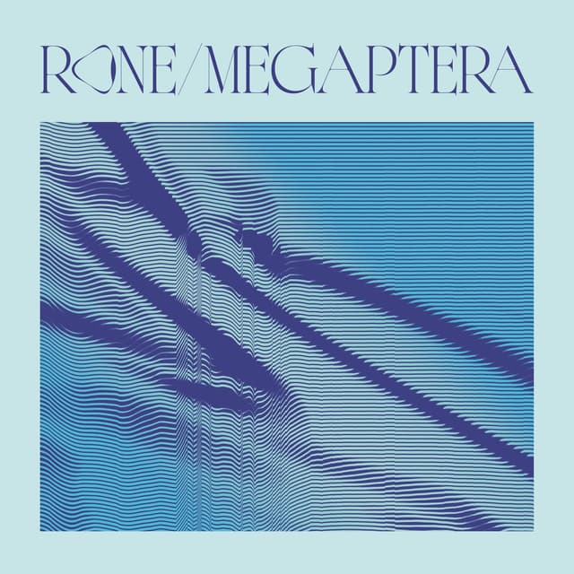 Album cover art for Megaptera