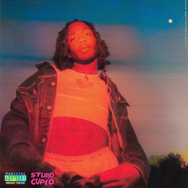 Album cover art for STUPID CUPID