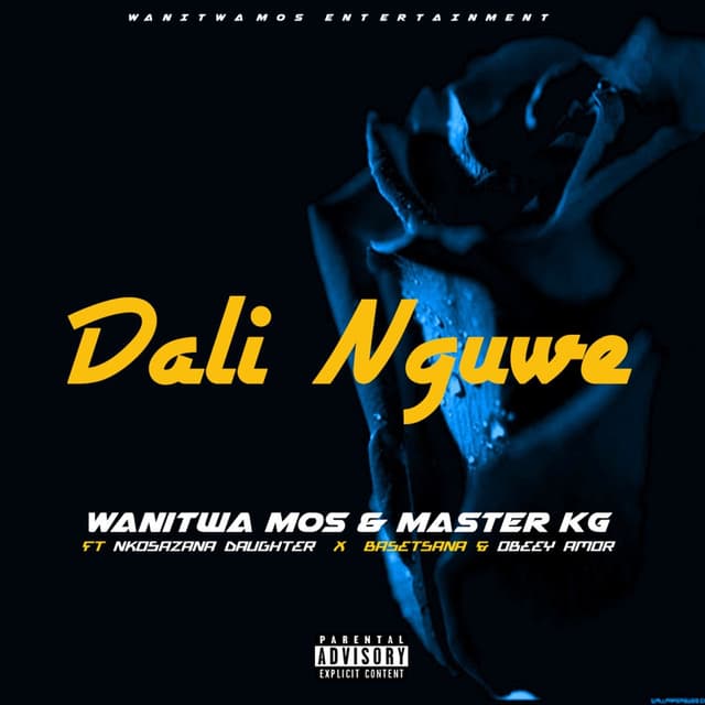 Album cover art for Dali Nguwe