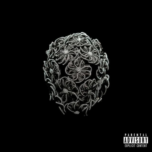 Album cover art for WHO IS DIDE?