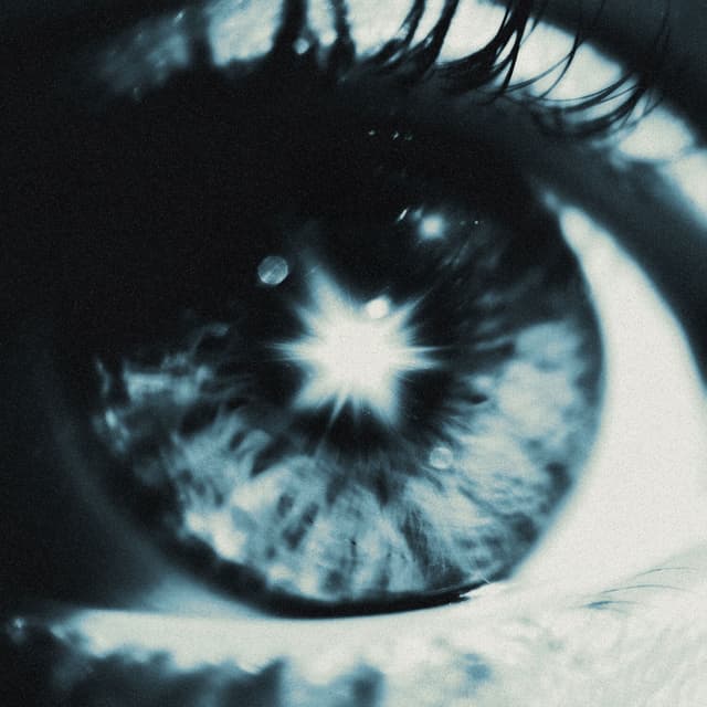 Album cover art for PERSO