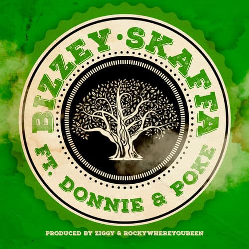 Album cover art for SKAFFA