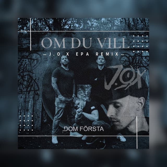 Album cover art for Om du vill