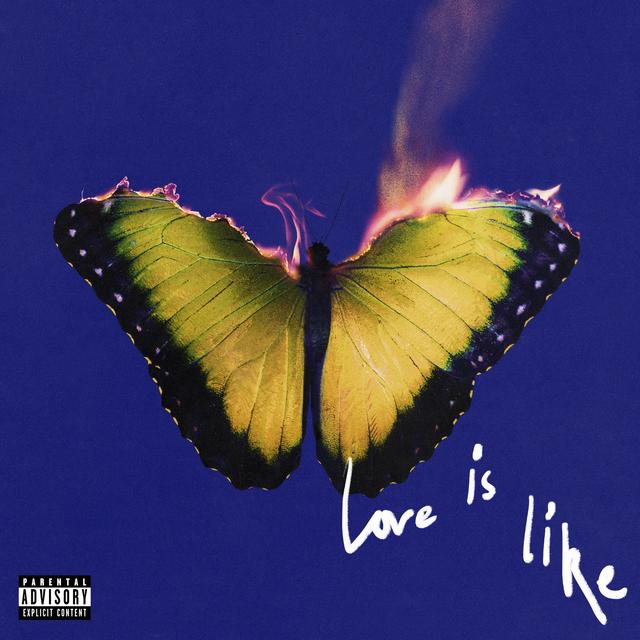 Album cover art for Love Is Like