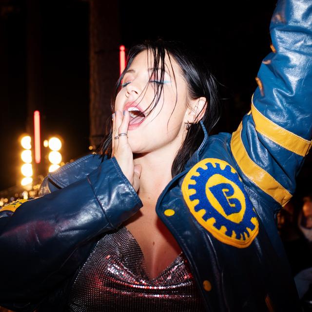 Album cover art for Vi ska aldrig gå hem