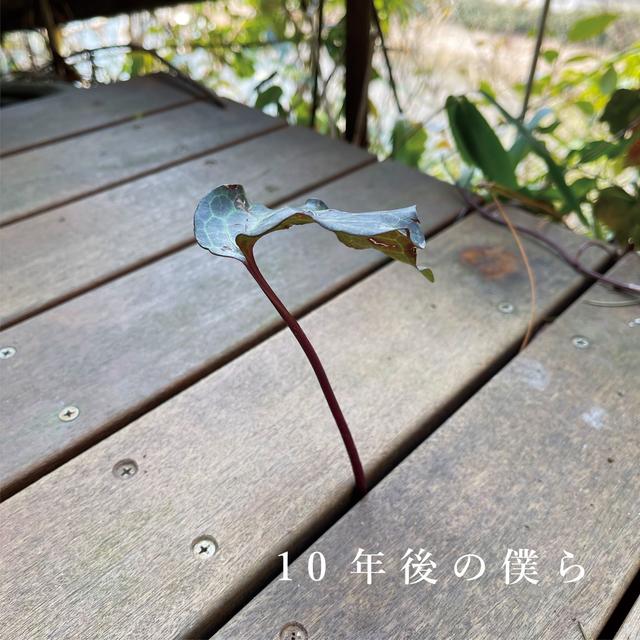 Album cover art for 10年後の僕ら