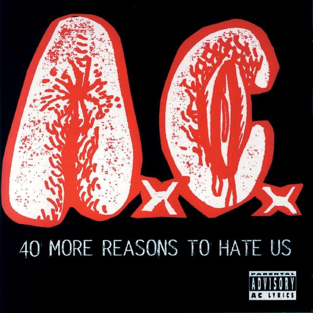 Album cover art for 40 More Reasons To Hate Us