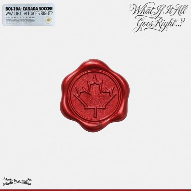 Album cover art for What If It All Goes Right..?