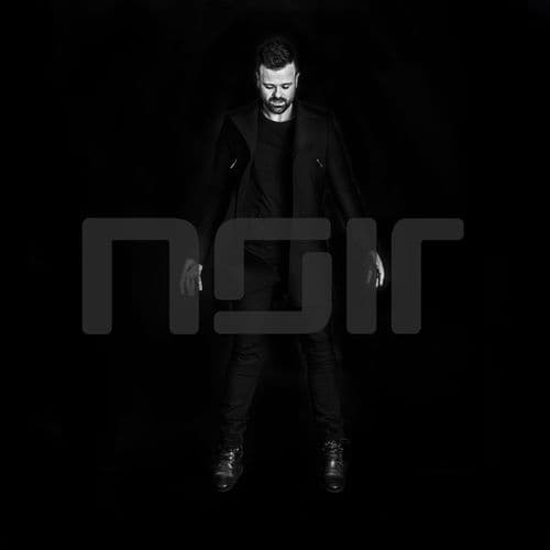 Album cover art for Noir