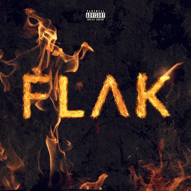 Album cover art for Flak