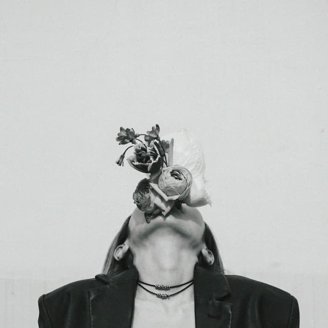 Album cover art for sublimated