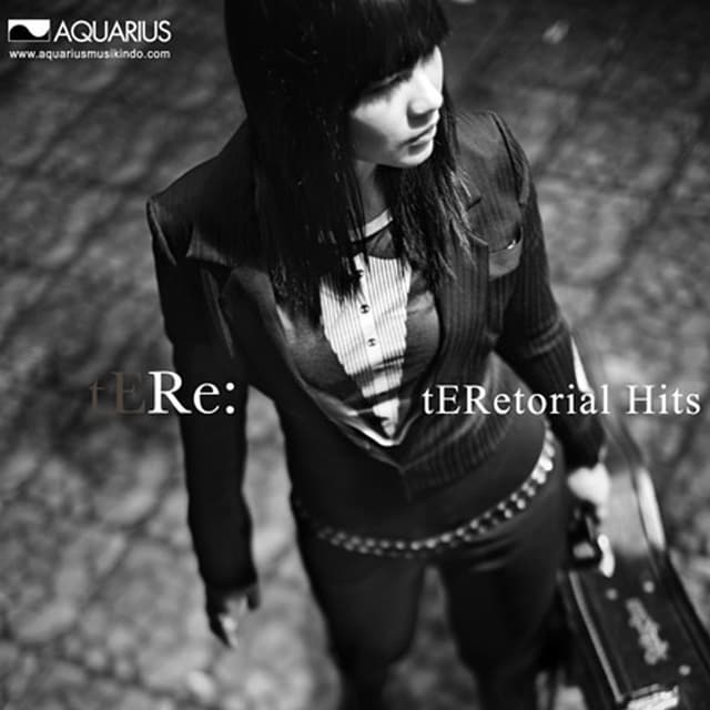Album cover art for tERetorial Hits