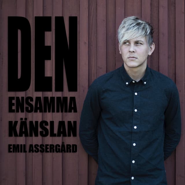 Album cover art for Den ensamma känslan