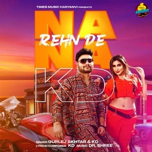 Album cover art for Na Na Rehn De