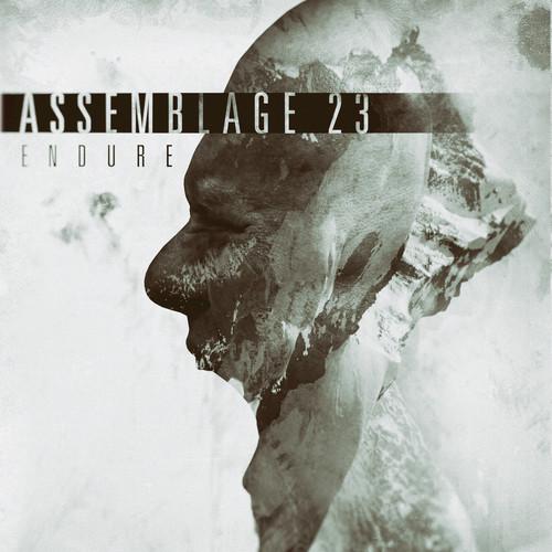 Album cover art for Endure