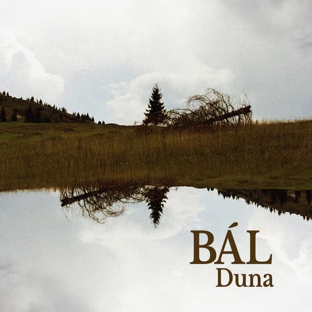 Album cover art for Duna