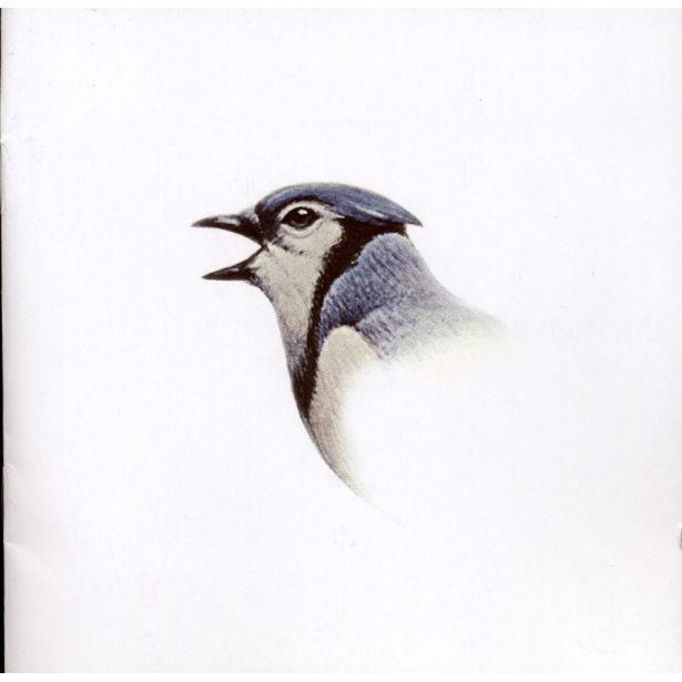 Album cover art for Waves