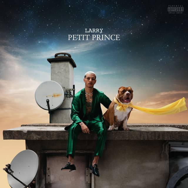 Album cover art for Petit Prince