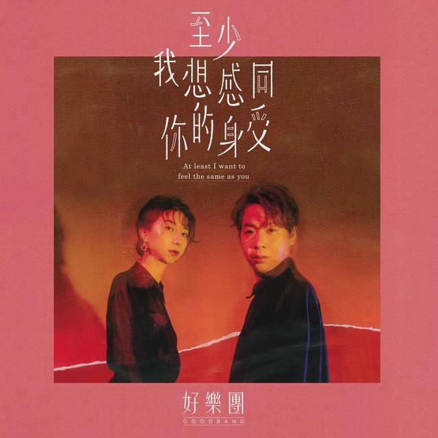 Album cover art for 至少我想感同你的身受