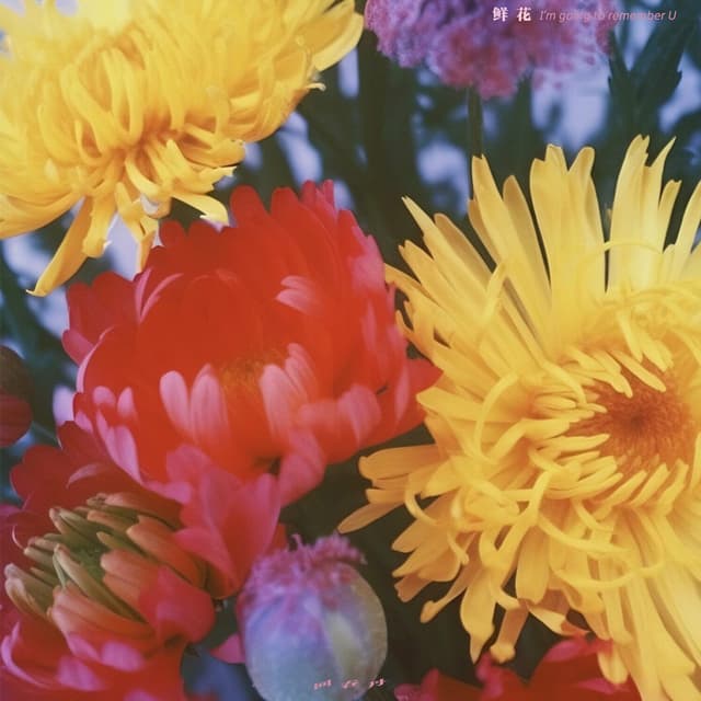 Album cover art for 鲜花