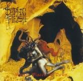Album cover art for Mystic Places Of Dawn