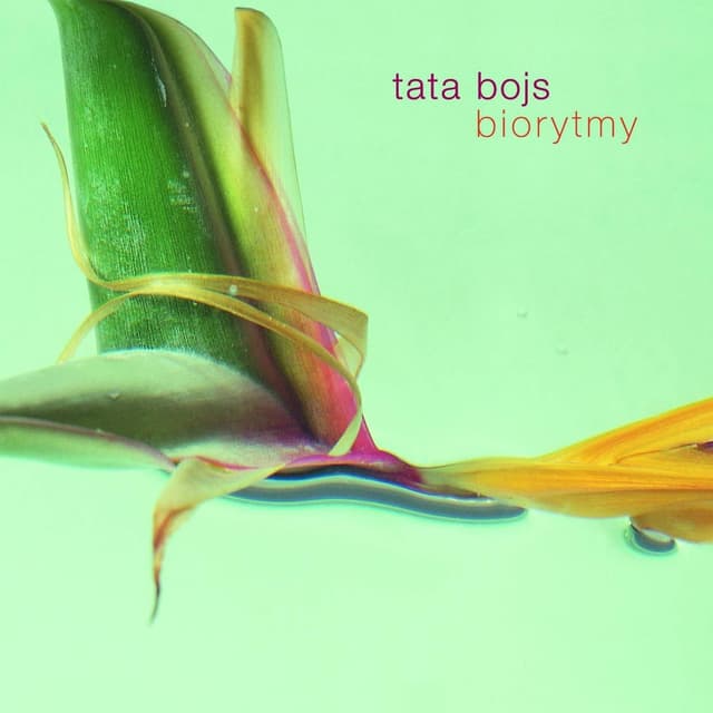 Album cover art for Biorytmy