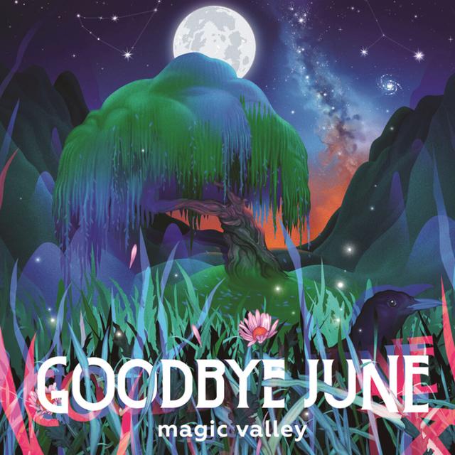 Album cover art for Magic Valley