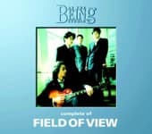 Album cover art for Complete of Field of View - At the Being Studio