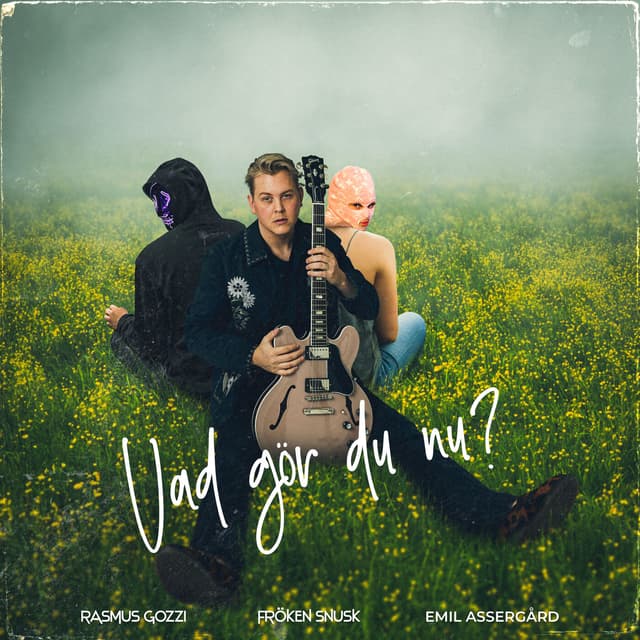 Album cover art for VAD GÖR DU NU