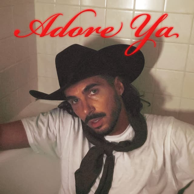 Album cover art for Adore Ya