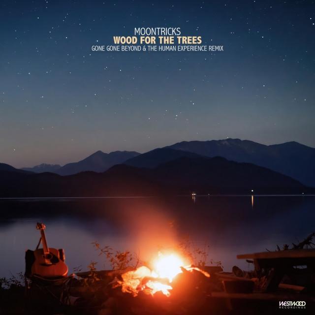 Album cover art for Wood for the Trees (Gone Gone Beyond & The Human Experience remix)