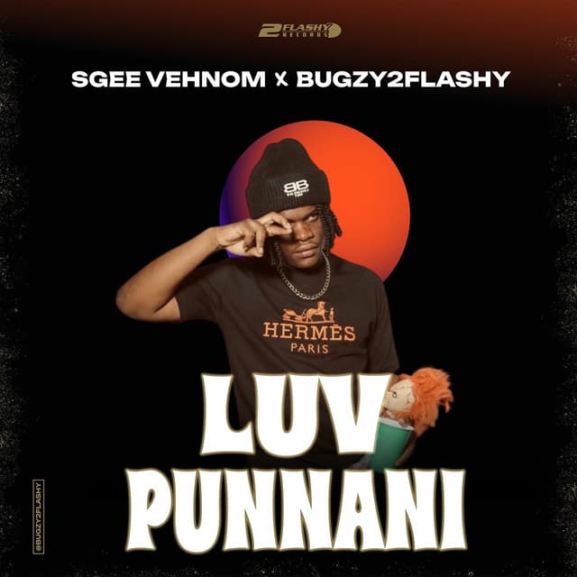 Album cover art for Luv Punnani