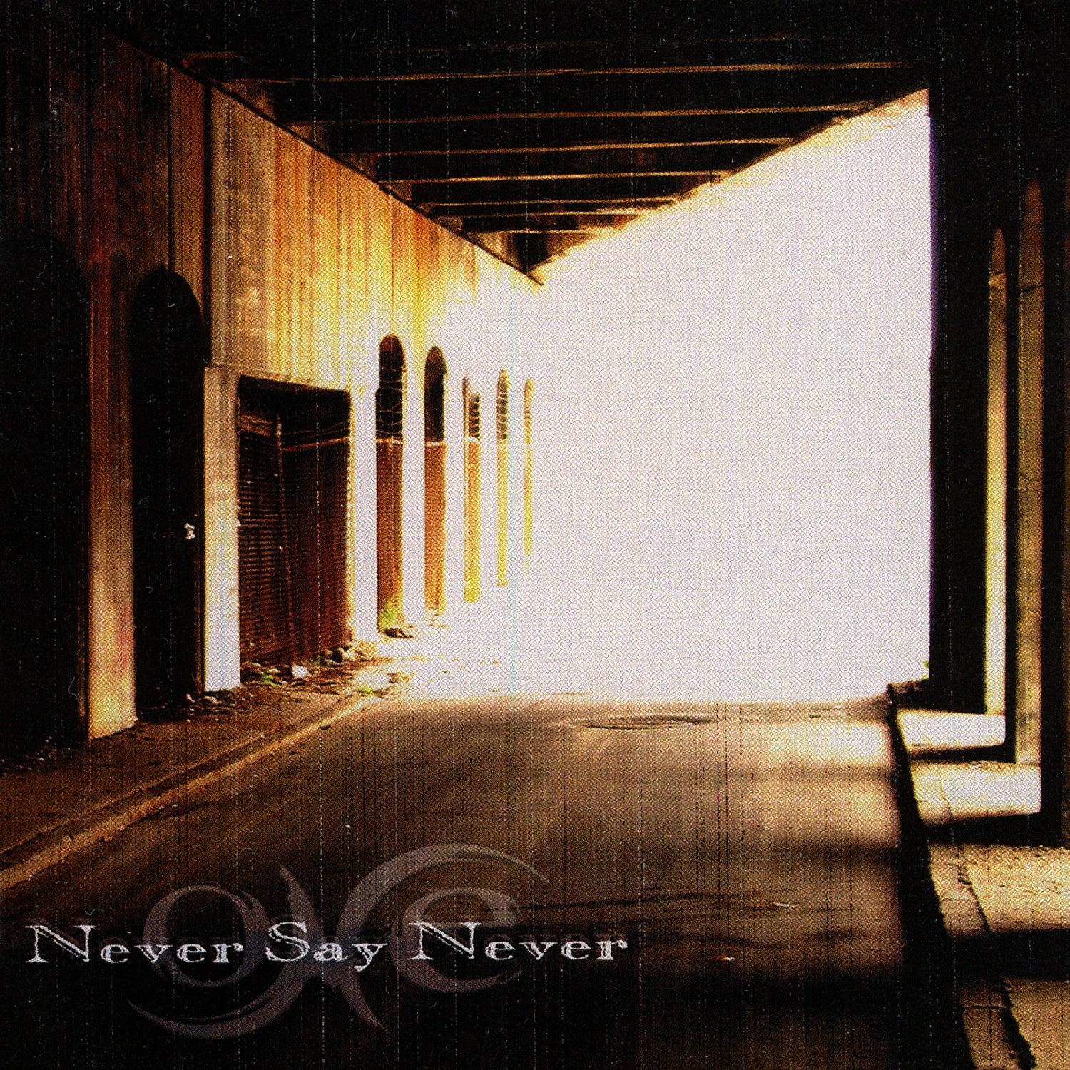 Never Say Never