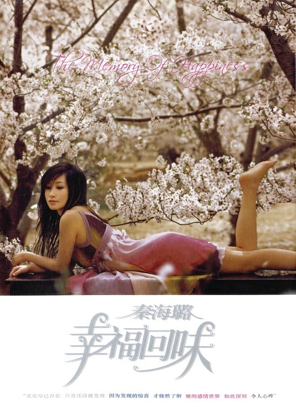 Album cover art for The Memory Of Happiness