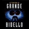 Bideo