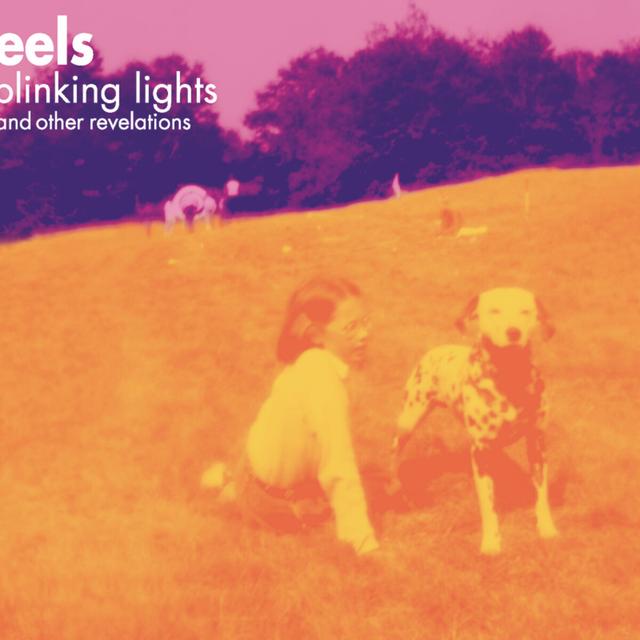 Album cover art for Blinking Lights and Other Revelations