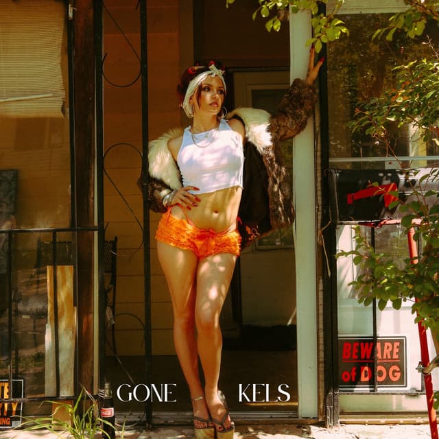 Album cover art for Gone