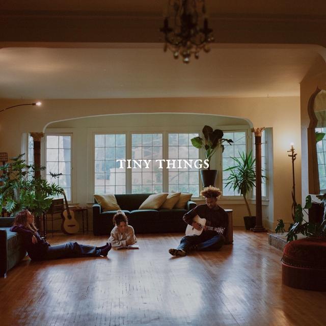 Album cover art for Tiny Things