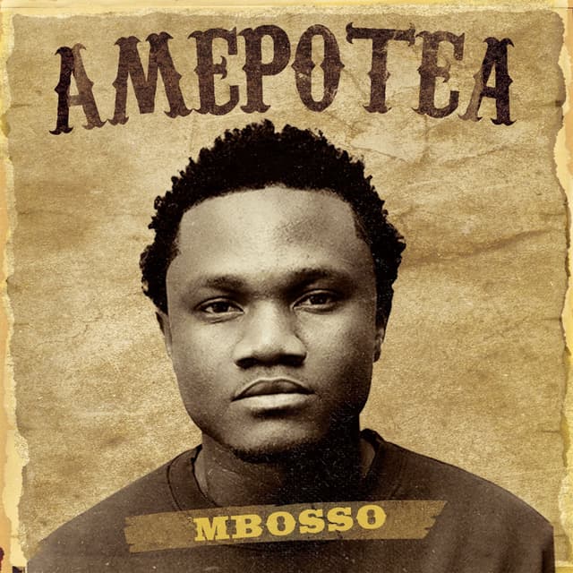 Album cover art for Amepotea