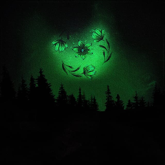 Album cover art for Jardim Espiral