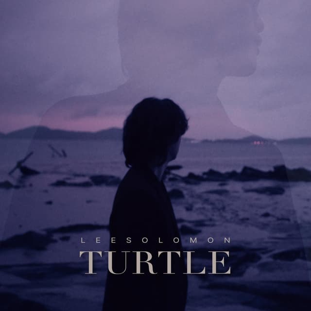 Album cover art for Turtle